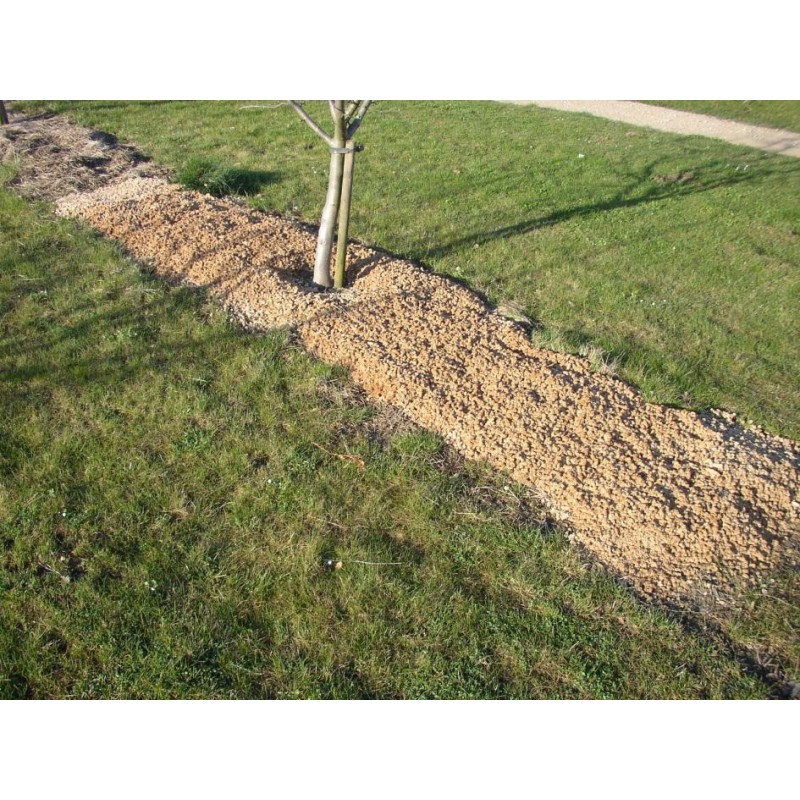 Paillis de miscanthus pour paillage végétal, arbres et végétaux CG ...