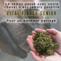 Aliment VIEUX CHEVAL pour lui permettre de s'alimenter avec des fibres de FOIN, VITAL'FIBRES SENIOR